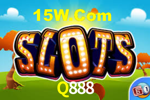 Q888 App Interface